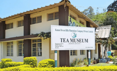 Tea Factory and Museum