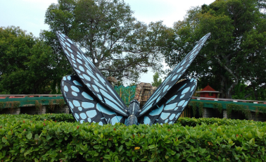Butterfly Park, Srirangam